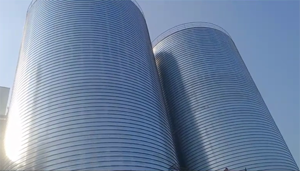 荆门2座混凝土高架卷板仓